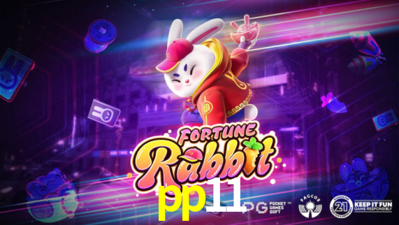 Premium Interface pp11